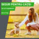 Frontline Combo Spot-On L – Soluție Antiparazitară Externă pentru Câini de Talie Mare (20–40 kg) – 3 Pipete